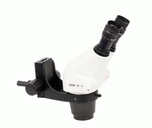 德国徕卡 立体显微镜 S6