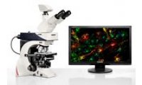 DM2500 徕卡生物显微镜 应用于分子生物学