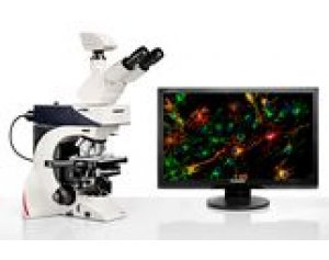 生物显微镜徕卡DM2500  徕卡生命科学显微镜产品资料_Leica DM2500和DM2500LED_样本、参数、价格、应用案例等