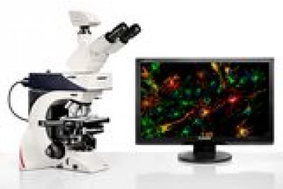 生物显微镜徕卡德国 正置手动显微镜  可检测生命科学显微镜产品