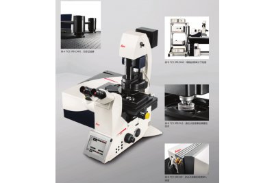 德国 共聚焦显微镜Leica TCS SP8激光共聚焦 可检测或植物观察