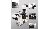 德国 共聚焦显微镜激光共聚焦Leica TCS SP8 适用于细胞检测