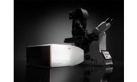 激光共聚焦德国共聚焦显微镜STELLARIS 可检测或植物观察