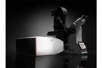 STELLARIS德国共聚焦显微镜激光共聚焦 应用于分子生物学