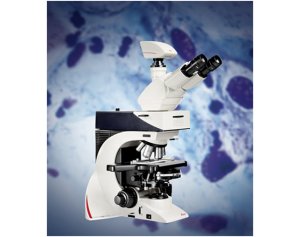 DM1000-3000 立体、体视德国 显微镜 徕卡生命科学常规显微镜产品资料合集_Leica DM1000-3000_样本、参数、价格、应用案例等