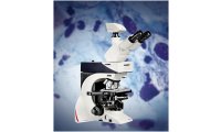 徕卡DM1000-3000 德国 显微镜 应用于细胞生物学
