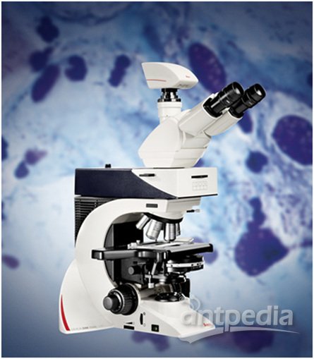 德国 显微镜DM1000-3000 徕卡 应用于细胞生物学