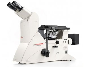  Leica DMi8 M徕卡荧光显微镜 样本