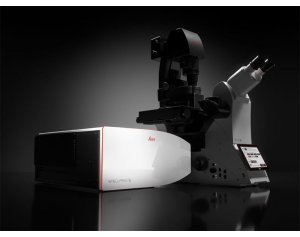 徕卡德国共聚焦显微镜STELLARIS 标准