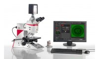生物显微镜徕卡德国 研究级正置显微镜 DM4 B 应用于其他生命科学