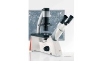 生物显微镜德国 倒置显微镜 DMi1