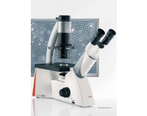 德国 倒置显微镜 徕卡生物显微镜