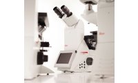 生物显微镜徕卡德国 工业倒置显微镜 DMi8 M / C / A