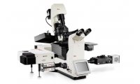 生物显微镜德国 高速成像平台 DMi8 SDMi8 S 