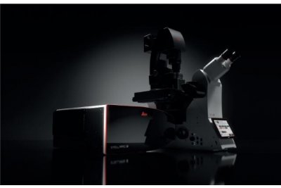 德国 共聚焦显微镜 STELLARIS 8激光共聚焦STELLARIS 8 