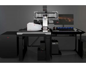 激光共聚焦徕卡德国 数字光片显微镜 STELLARIS DLS