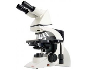 徕卡德国 常规正置显微镜 DM1000/DM1000LEDDM1000/DM1000 LED 