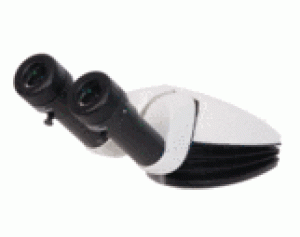 立体、体视徕卡德国 人体工学 Leica ErgoTube 10 - 50