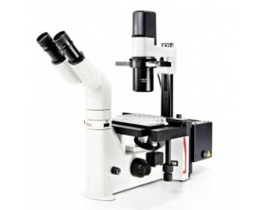DMIL LED 德国 常规荧光倒置显微镜 DMIL LED生物显微镜