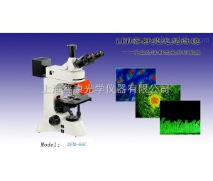 DFM-66C蔡康LED正置荧光显微镜