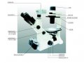 XD-202XD-202倒置生物显微镜