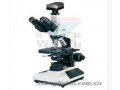 SBM-20C生物显微镜