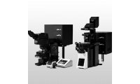激光扫描共聚焦显微镜FV3000