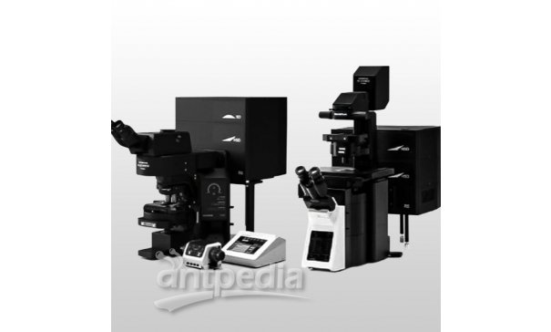 激光扫描共聚焦显微镜FV3000