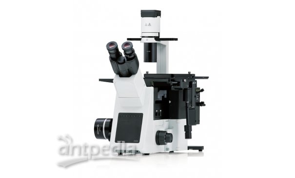 OLYMPUS IX53显微镜