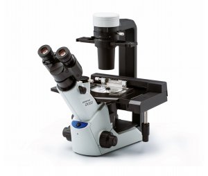 OLYMPUS CKX53倒置显微镜 细胞培养用显微镜
