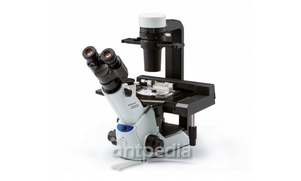 OLYMPUS CKX53倒置显微镜 细胞培养用显微镜