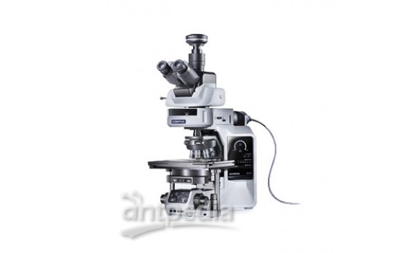奥林巴斯 BX63 自动荧光显微镜