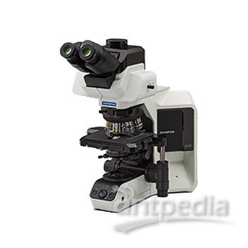 奥林巴斯 BX53-P 偏光显微镜