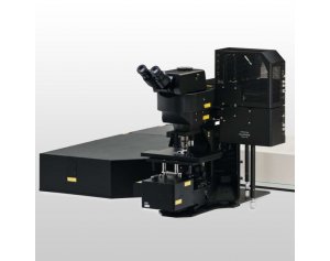 奥林巴斯 多光子激光扫描显微镜激光共聚焦
