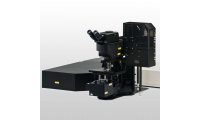 FVMPE-RS 多光子激光扫描显微镜激光共聚焦