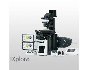  全内反射影像显微镜系统IXplore TIRF奥林巴斯