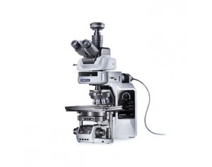 BX63  自动荧光显微镜奥林巴斯
