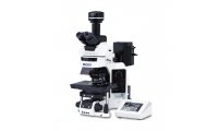 奥林巴斯BX53  半电动荧光显微镜
