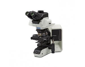 偏光显微镜奥林巴斯BX53-P