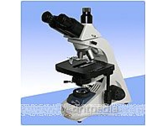 三目生物显微镜BM19A