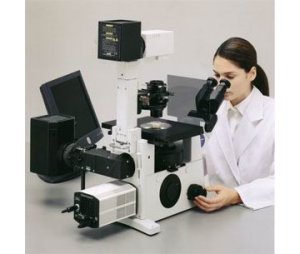 奥林巴斯倒置显微镜