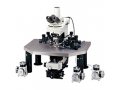 尼康FN1电生理显微镜