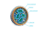 GenVoyPrecision Nanosystems纳米药物制备及递送 应用于制药/仿制药