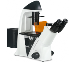  BDS400倒置荧光显微镜 