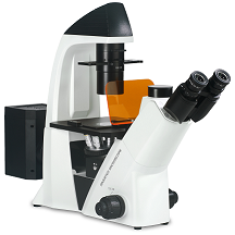 BDS400倒置荧光显微镜
