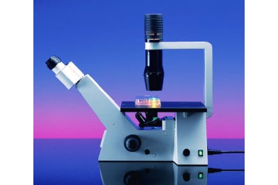 德国蔡司倒置生物显微镜