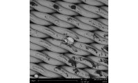 扫描电镜飞纳台式扫描电子显微镜标准版PurePhenom 适用于纳米纤维的形貌