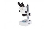 连续变倍体视显微镜MZ61立体、体视
