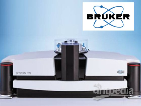 布鲁克 SkyScan 1272高分辨率X射线显微CT（XRM） 关节炎的理想解决方案