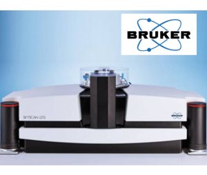 布鲁克 SkyScan 1272高分辨率X射线显微CT（XRM） 关节炎的理想解决方案